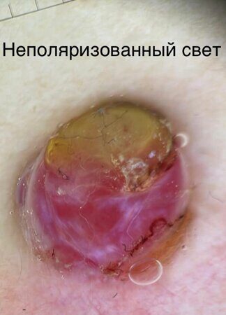 WhatsApp Image 2023-04-02 at 19.28.58