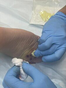 WhatsApp Image 2022-08-11 at 17.05.54