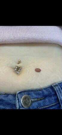 WhatsApp Image 2023-05-03 at 17.33.57