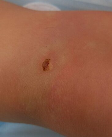 WhatsApp Image 2023-03-20 at 18.43.08 (1)