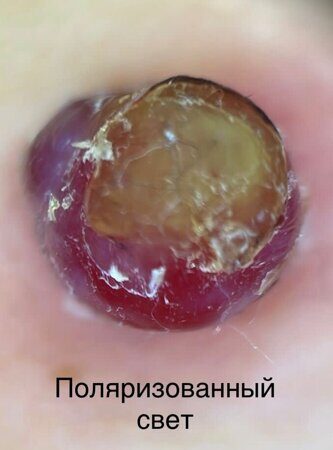 WhatsApp Image 2023-04-02 at 19.28.57